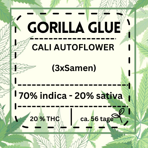 Gorilla Glue Automatic feminisiert – Cannabissamen mit hohem Ertrag und harzreichen Knospen. 20 % THC für intensives High, perfekte Indoor- und Outdoor-Sorte. Süßer, erdiger Geschmack und preisgekrönte Qualität. Ernte nach 8-9 Wochen.