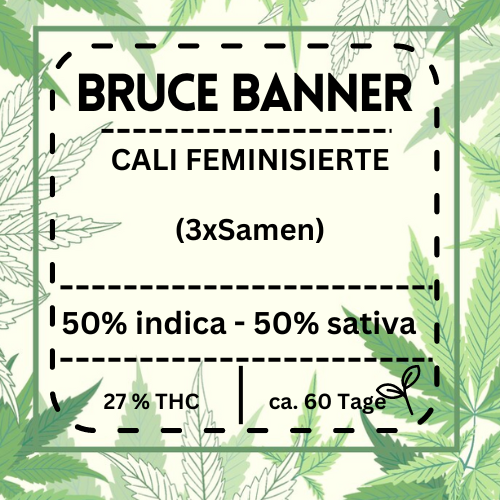 Bruce Banner feminisierte Cannabissamen mit 27 % THC, 50 % Sativa und 50 % Indica. Kraftvolle Hybriderfahrung, ideal für Anfänger und erfahrene Grower.