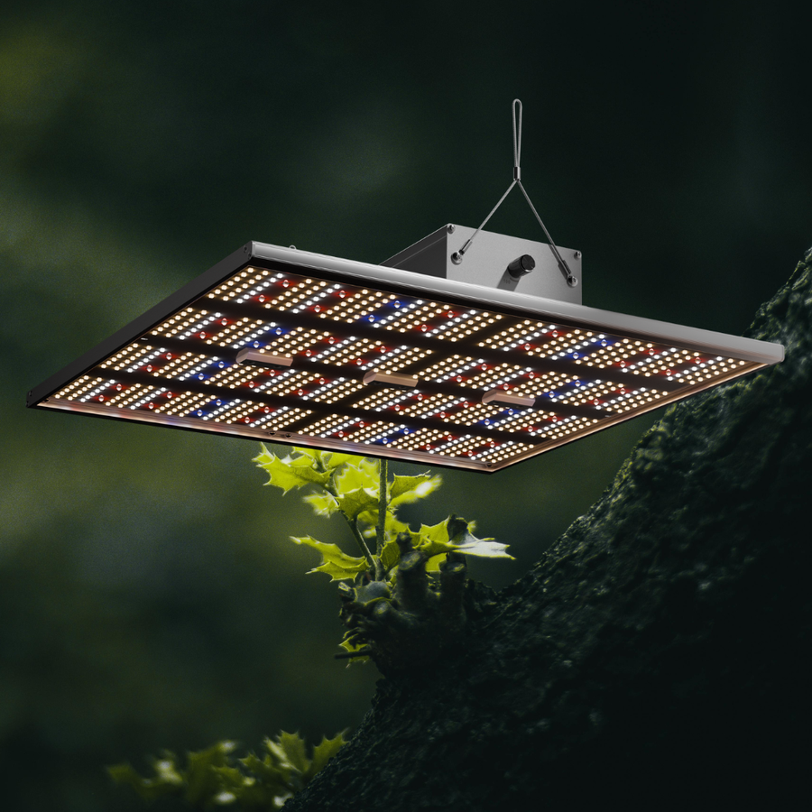 LED-Beleuchtung