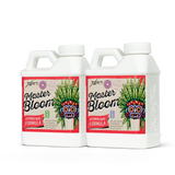 Xpert Nutrients Master Bloom A+B – Zweiteiliger Blütendünger für kräftige Blüten