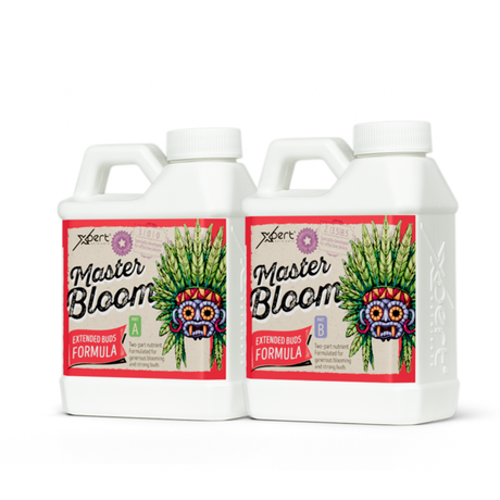 Xpert Nutrients Master Bloom A+B – Zweiteiliger Blütendünger für kräftige Blüten