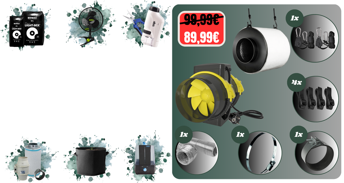 Grow-Angebote