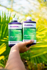 Plagron Alga Grow und Alga Bloom Flaschen in einer Hand vor grünen Pflanzen