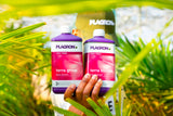 Plagron Terra Grow und Terra Bloom Dünger für Wachstum und Blüte im Gewächshaus