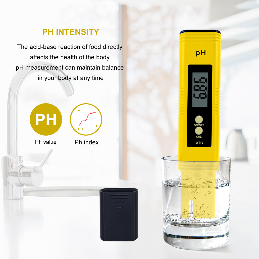 Kompaktes pH-Messgerät