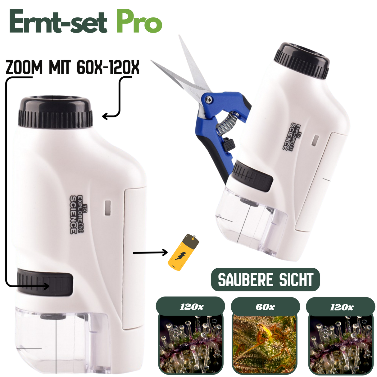 Mikroskop mit 60- bis 120-facher Vergrößerung – Trichome im Detail sichtbar