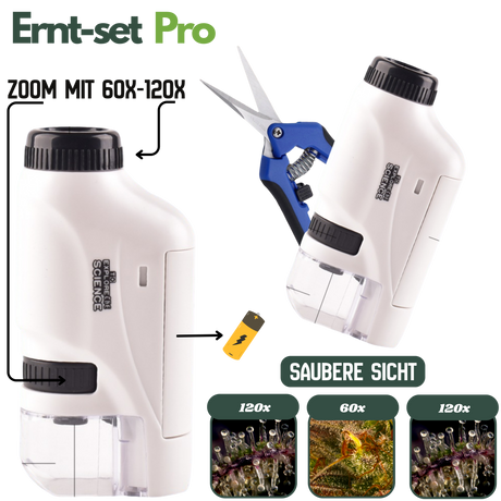 Mikroskop mit 60- bis 120-facher Vergrößerung – Trichome im Detail sichtbar