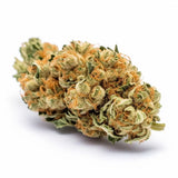 Super Lemon Haze Automatic – Autoflowering Hanfsamen mit 21 % THC, hoher Ertrag (Indoor: 450-600 g/m²), frischer Zitrusgeschmack, perfekt für kreatives High.