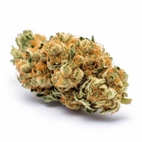 Super Lemon Haze Automatic – Autoflowering Hanfsamen mit 21 % THC, hoher Ertrag (Indoor: 450-600 g/m²), frischer Zitrusgeschmack, perfekt für kreatives High.