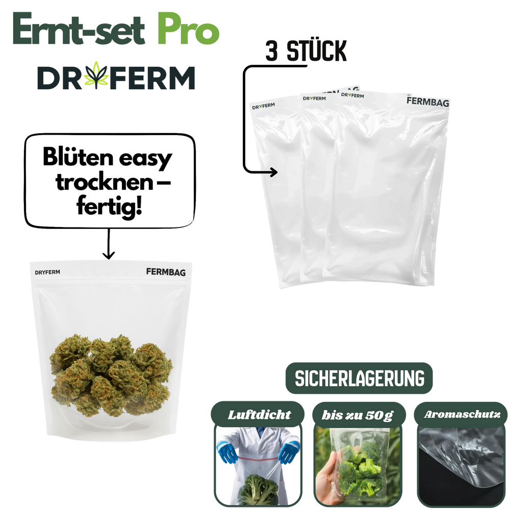 3 wiederverwendbare Dryferm Beutel zur sicheren Trocknung von Blüten mit Aromaschutz