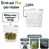 3 wiederverwendbare Dryferm Beutel zur sicheren Trocknung von Blüten mit Aromaschutz
