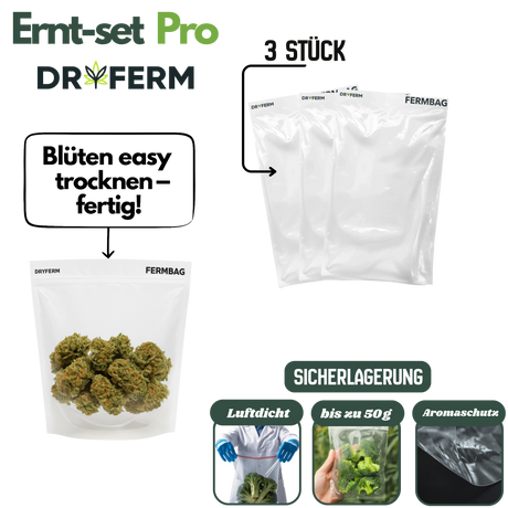 3 wiederverwendbare Dryferm Beutel zur sicheren Trocknung von Blüten mit Aromaschutz