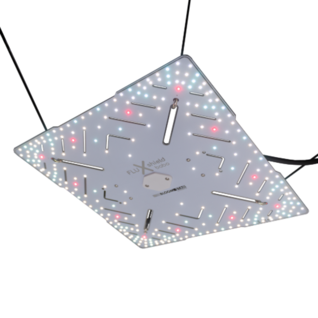 Bloomstar FLUXshield 300 Grow-LED in Aufhängung – Unterseite mit voll bestücktem LED-Board im Betrieb