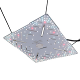 Bloomstar FLUXshield 300 Grow-LED in Aufhängung – Unterseite mit voll bestücktem LED-Board im Betrieb