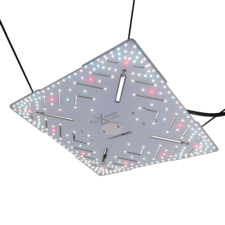 Bloomstar FLUXshield 300 Grow-LED in Aufhängung – Unterseite mit voll bestücktem LED-Board im Betrieb