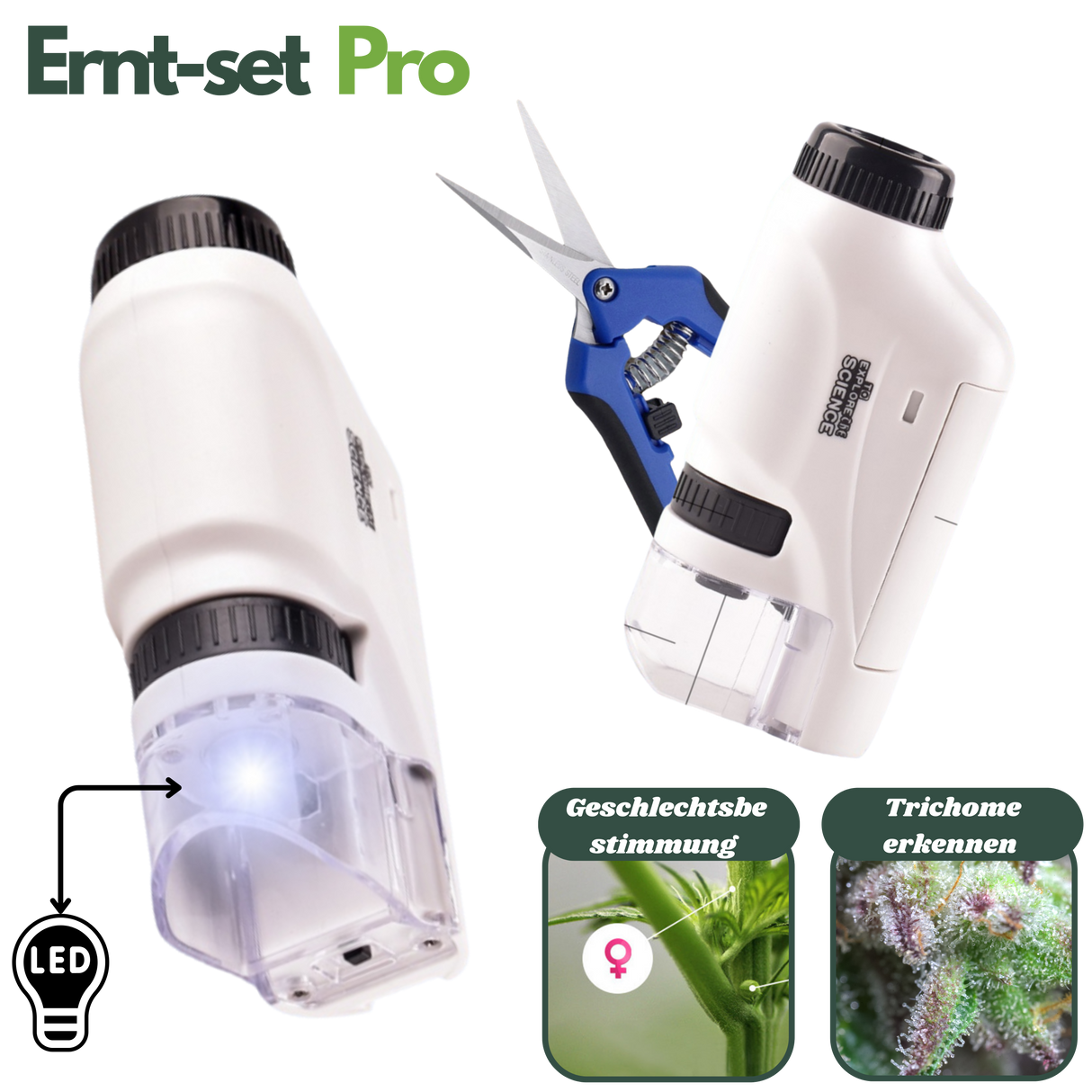 Taschenmikroskop mit integrierter LED zur Trichomerkennung und Geschlechtsbestimmung