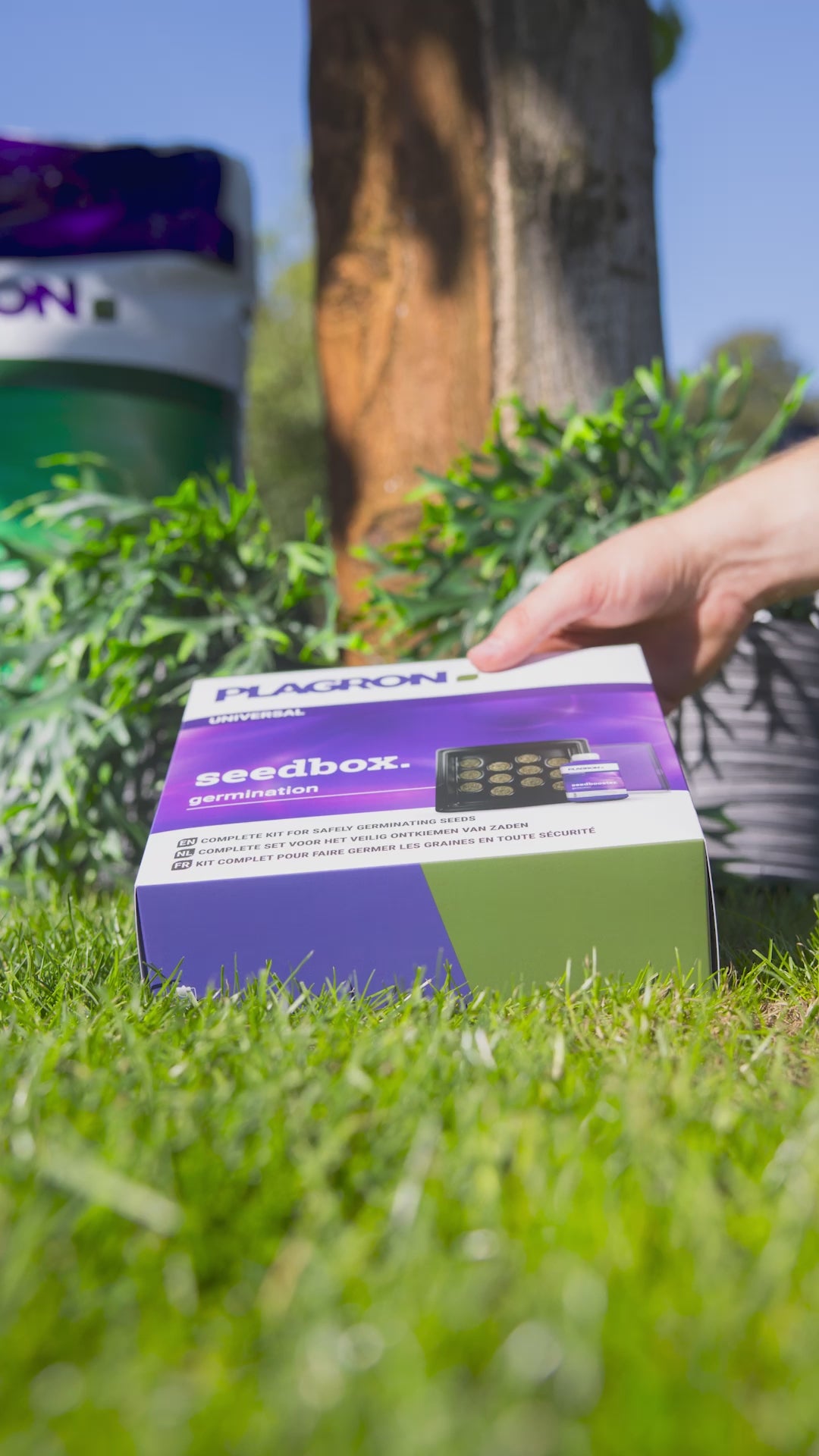 Plagron Seedbox – Anwendung des Startersets zur Samenkeimung